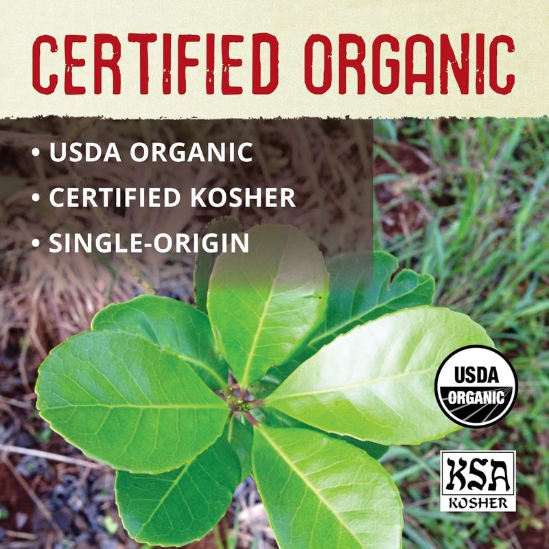 ECOTEAS Organic Unsmoked Yerba Mate Tea Bags - Image 3